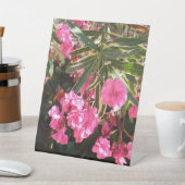 Rosa Blume auf dem Baum Sockelschild (In SItu)