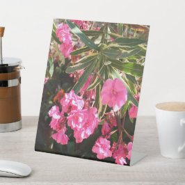 Rosa Blume auf dem Baum Sockelschild