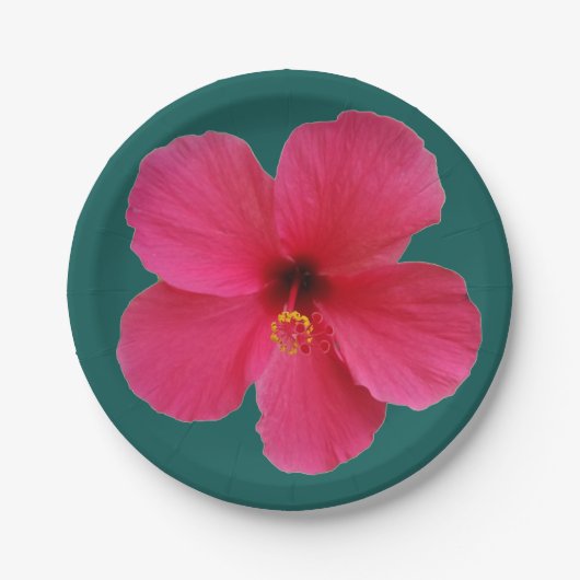 rosa Blume auf dunkelgrünem Pappteller (Vorderseite)