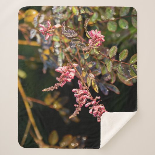 Rosa Blume auf schwarzem Hintergrund Sherpadecke (Vorderseite)