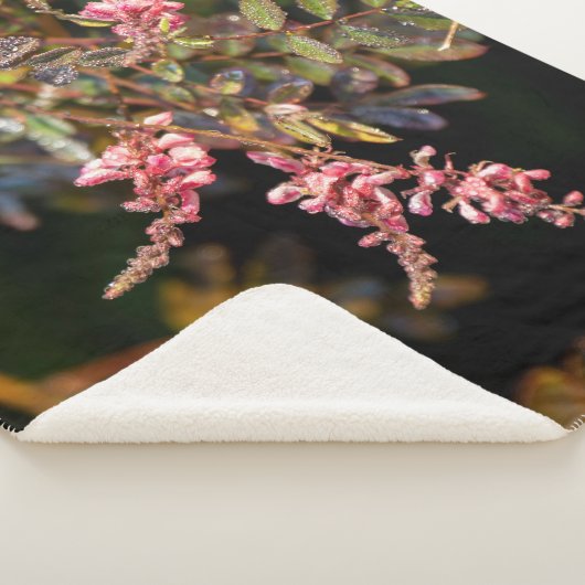 Rosa Blume auf schwarzem Hintergrund Sherpadecke (3/4)