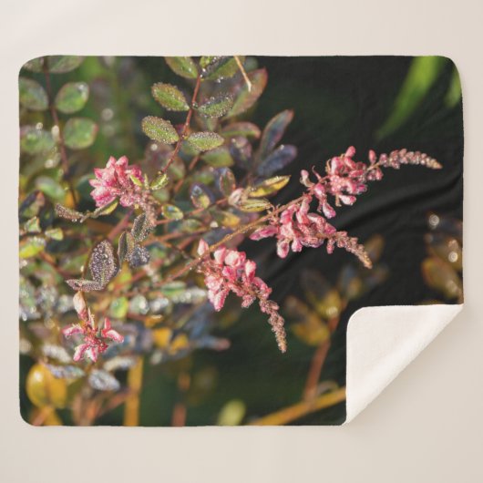 Rosa Blume auf schwarzem Hintergrund Sherpadecke (Vorderseite (Horizontal))