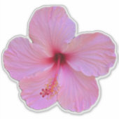 Rosa Blume Aufkleber (Vorderseite)