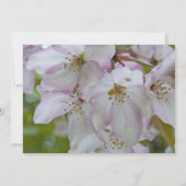 Rosa Blume aus Weißkrabbe Einladung (Rückseite)