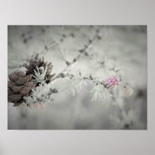Rosa Blume bei Lärchenschwarz und Weiß Poster