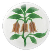 Rosa Blume Bell Gestalten Elegant Viktorianisch Keramikknauf (Vorderseite)