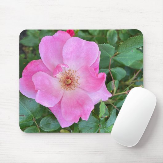 Rosa Blume Bloom Mouse Pad Mousepad (Mit Mouse)