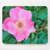 Rosa Blume Bloom Mouse Pad Mousepad (Vorne)