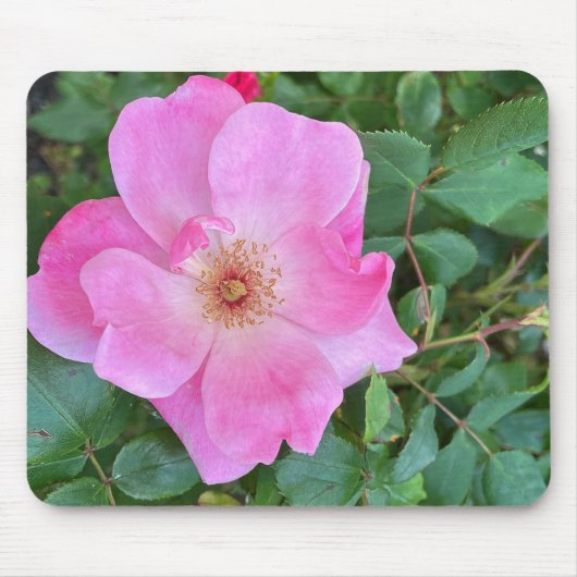 Rosa Blume Bloom Mouse Pad Mousepad (Vorne)