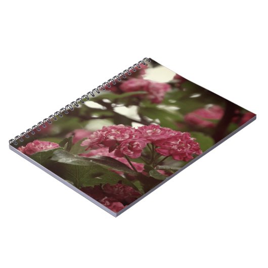 Rosa Blume Blosoom Foto Notebook (80 Seiten B&W) Notizblock (Linke Seite)