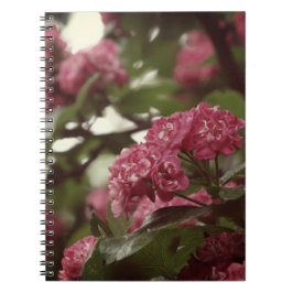 Rosa Blume Blosoom Foto Notebook (80 Seiten B&W) Notizblock
