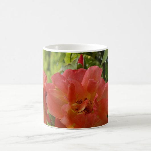 Rosa Blume Blossom Foto Klassische Tasse (Mittel)