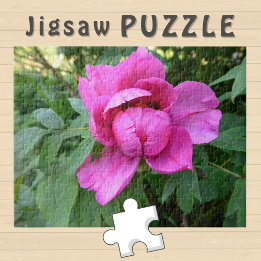Rosa Blume blühendes ästhetisches Foto - Puzzle