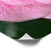 Rosa Blume blüht Bienen-Liebe-Schicksals-Dusche Poster (Ecke)