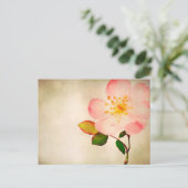 Rosa Blume - Blume Rose auf Aquarell Postkarte (Stehend Vorderseite)