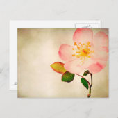 Rosa Blume - Blume Rose auf Aquarell Postkarte (Vorne/Hinten)