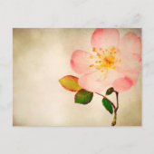 Rosa Blume - Blume Rose auf Aquarell Postkarte (Vorderseite)