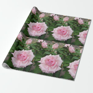 Rosa Blume Blumengarten Wrapping Geschenkpapier