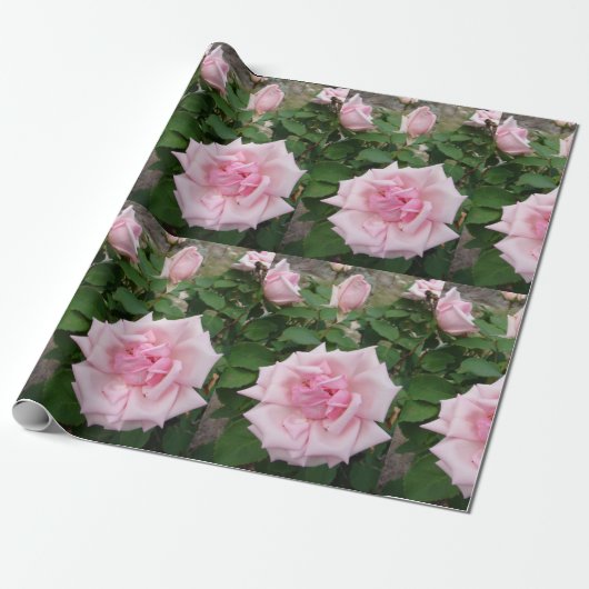 Rosa Blume Blumengarten Wrapping Geschenkpapier (Ungerollt)
