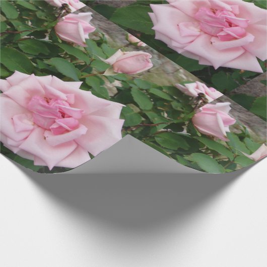 Rosa Blume Blumengarten Wrapping Geschenkpapier (Ecke)
