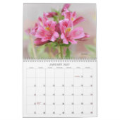 Rosa Blume Blumenkalender Kalender (Jan 2027)