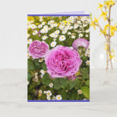 Rosa Blume Blumenkohl Rose Daisy Foto Karte (Gelbe Blume)