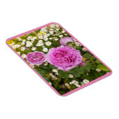 Rosa Blume Blumenkohl Rose Daisy Magnet (Rechte Seite)