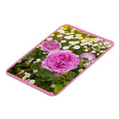 Rosa Blume Blumenkohl Rose Daisy Magnet (Linke Seite)