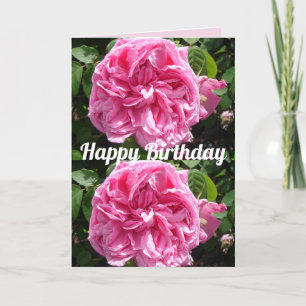 Rosa Blume Blumenmuster Vintage Rose Karte