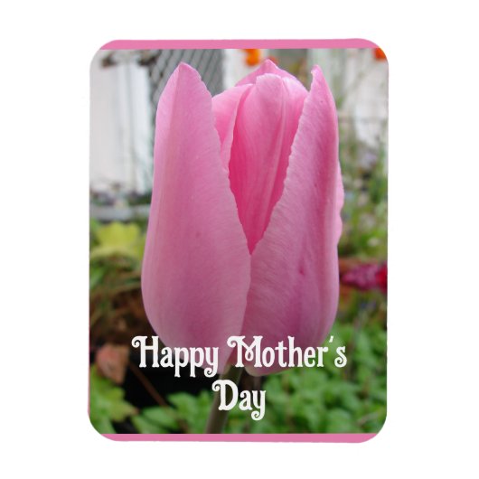 Rosa Blume Blumenstrauß Tulip Tulips Mütter Tagesk Magnet (Vertikal)