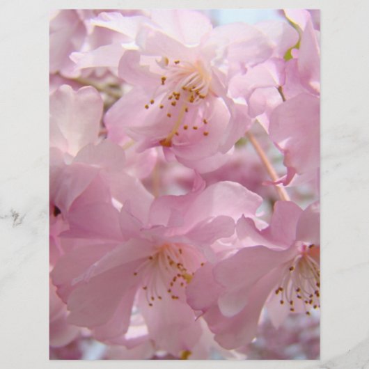 Rosa Blume Blüten Flyer Papier Custom (Vorne)