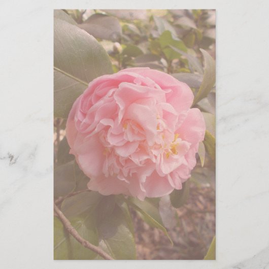 Rosa Blume Briefpapier (Vorderseite)