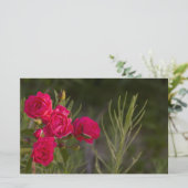 Rosa Blume Briefpapier (Stehend Vorderseite)
