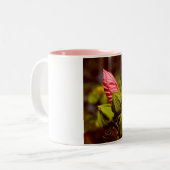 Rosa Blume Bud Foto Tasse (Vorderseite Links)