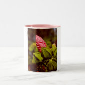 Rosa Blume Bud Foto Tasse (Mittel)