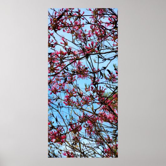 Rosa Blume Buds auf einem Baum Poster (Vorne)