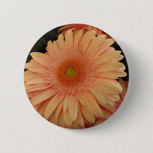 Rosa Blume Button