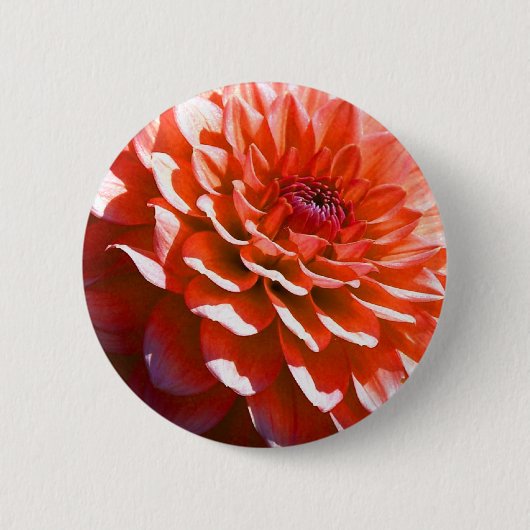 Rosa Blume Button (Vorderseite)