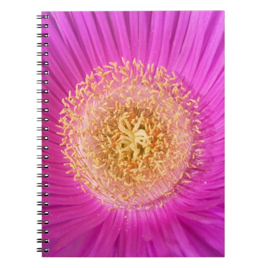 Rosa Blume Center Notebook Notizblock (Vorderseite)