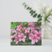 Rosa Blume Deutschlands Postkarte (Stehend Vorderseite)