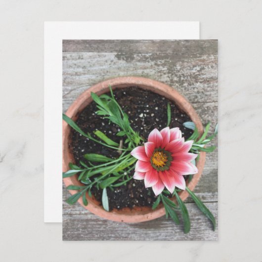 Rosa Blume Einladung (Vorne/Hinten)