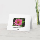 Rosa Blume Feiertagskarte (Rückseite)