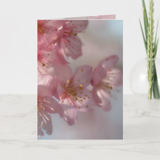 Rosa Blume Feiertagskarte (Vorderseite)