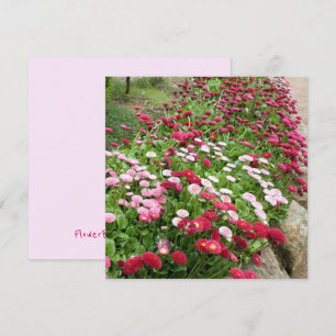 Rosa Blume Flachbildschirm Karte