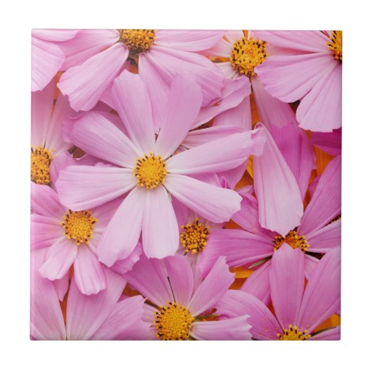Rosa Blume Fliese (Vorderseite)