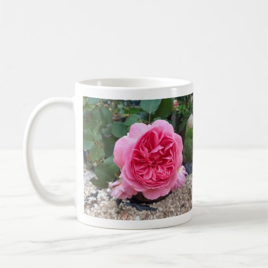 Rosa Blume Flora Botanische Garten Tasse (Links)