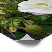 Rosa Blume Florenz Hütte Garten Poster (Ecke)