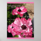 Rosa Blume Florenz Hütte Garten Poster (Vorne)