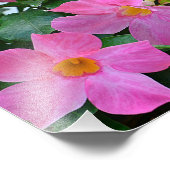 Rosa Blume Foto drucken (Ecke)