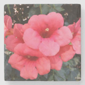 Rosa Blume Foto Marbella Stone Untersetzer (Vorderseite)